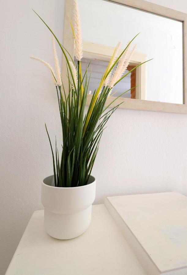 Feidiou 1 Apartment Aegina ภายนอก รูปภาพ